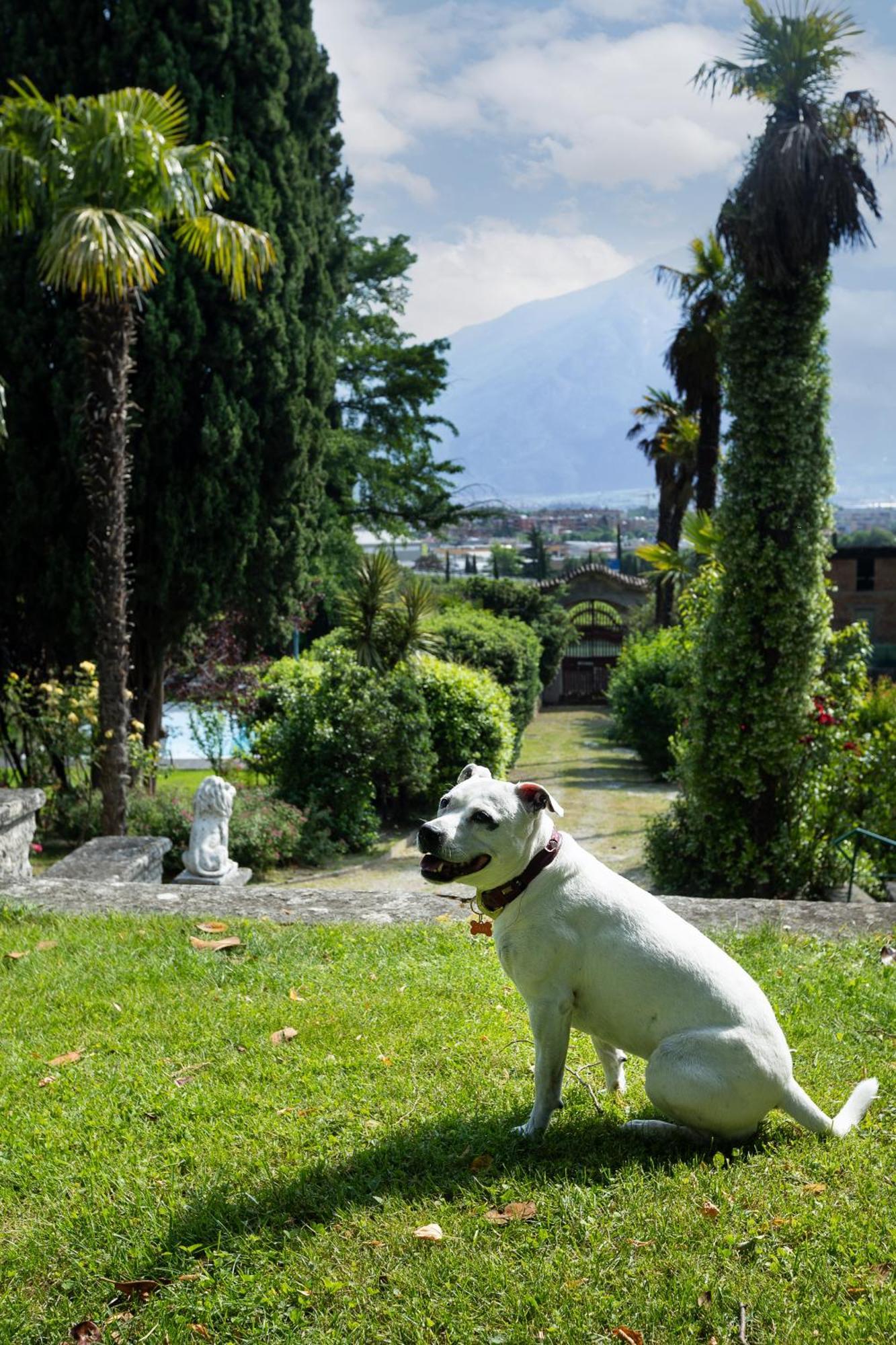 Villa Angelica Riva del Garda Exterior photo